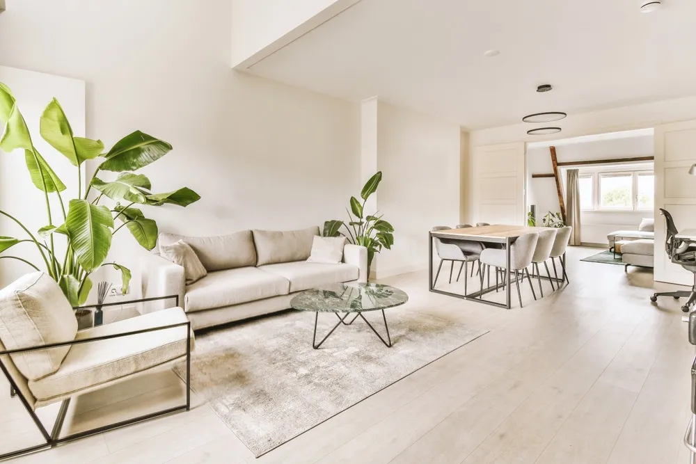 Rénovation Intérieure de Murs